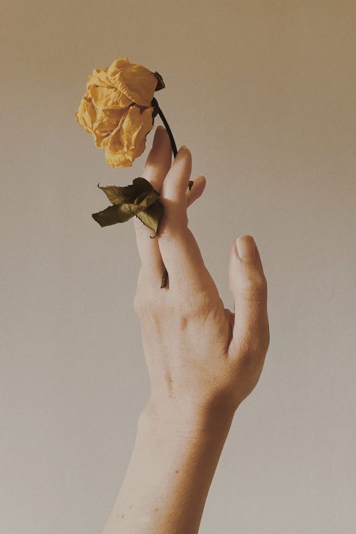 renata-lamezi-3KoGAKxgA3E-unsplash