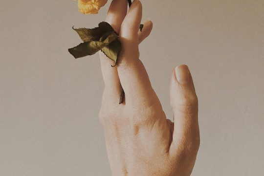 renata-lamezi-3KoGAKxgA3E-unsplash renata-lamezi-3KoGAKxgA3E-unsplash